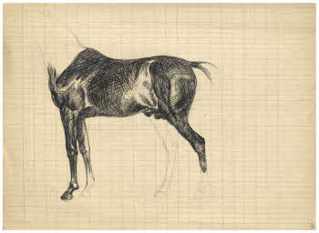 Visualizza l'immagine "FD Album 7, 15 r."